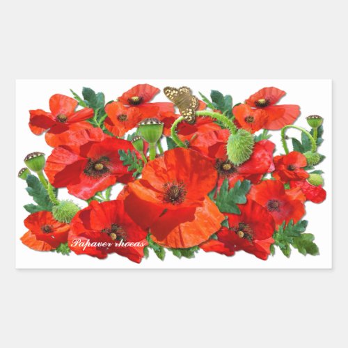 RED POPPY    Rectangle  Stickers