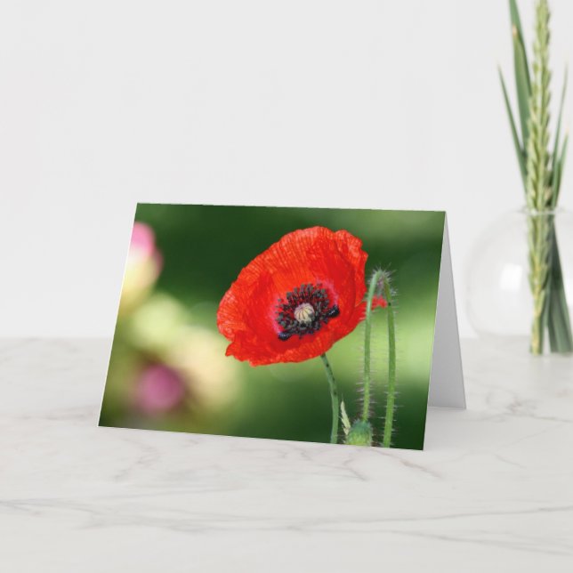 Red Poppy Seed Greeting Card (Front)