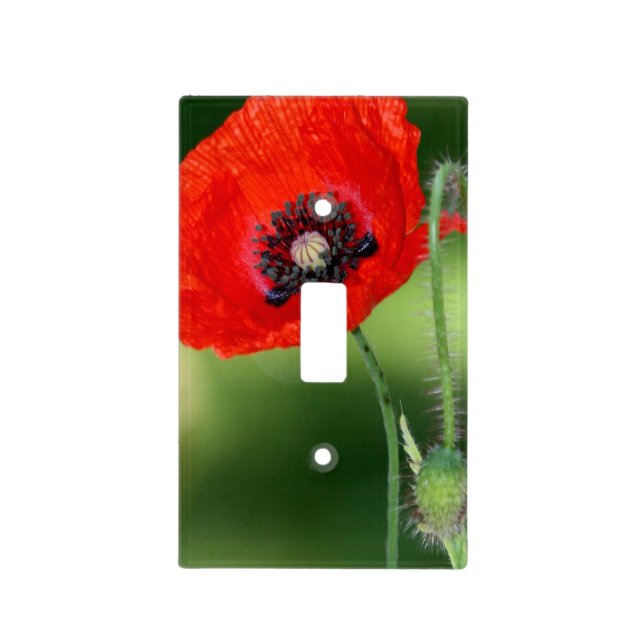 Red Poppy Seed Light Switch Cover (Front)