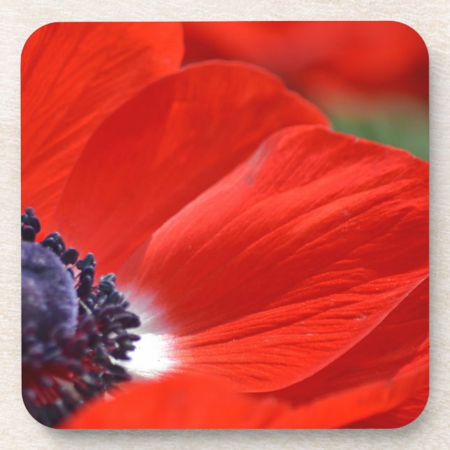 Red Poppy Spring Floral Beverage Coaster (Front)