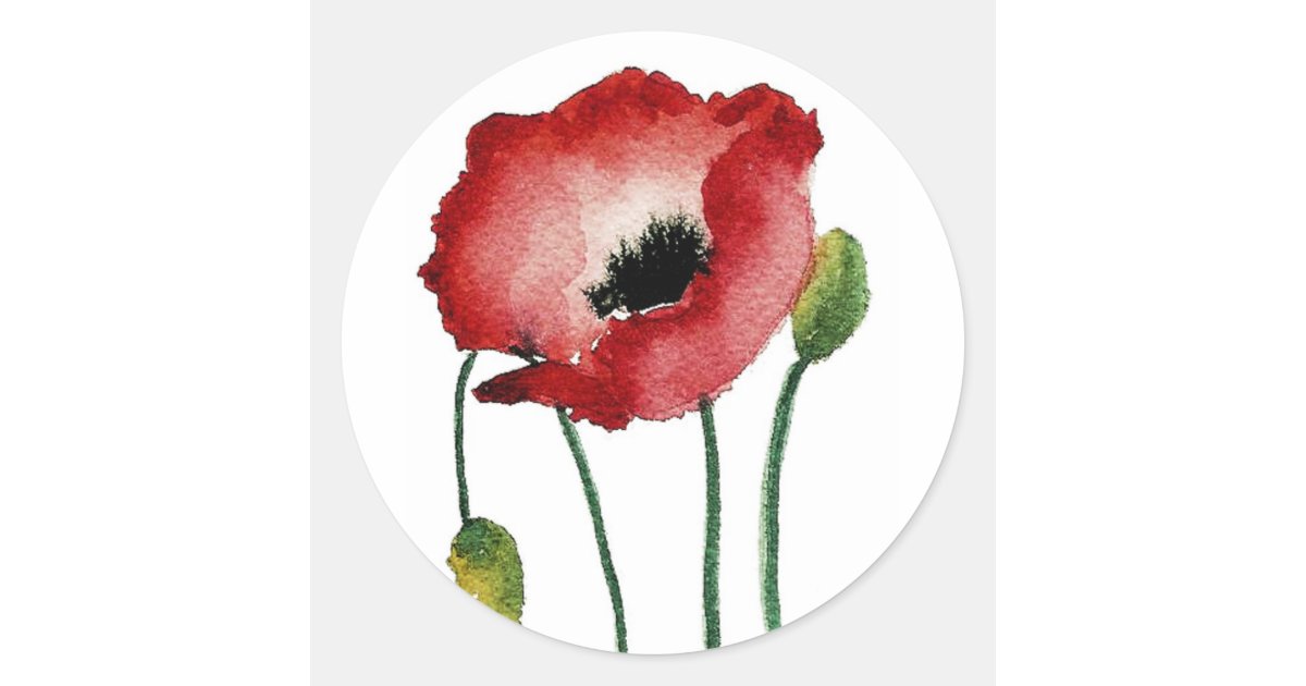 Red Poppy Sticker Zazzle