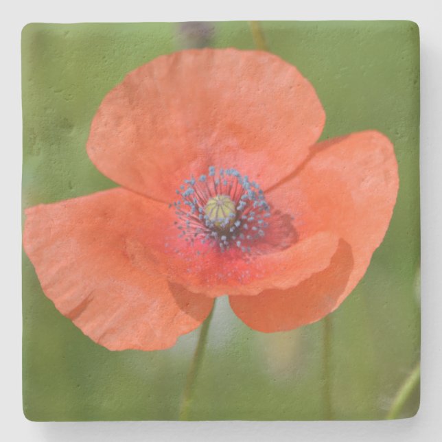 Red Poppy Stone Coaster (Front)