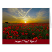 Red Poppy Sunset (Front Horizontal)
