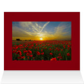 Red Poppy Sunset (Inside Horizontal (Top))