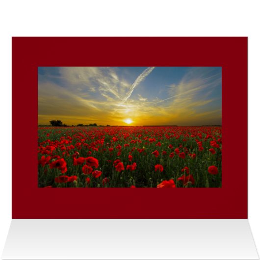 Red Poppy Sunset (Inside Horizontal (Top))