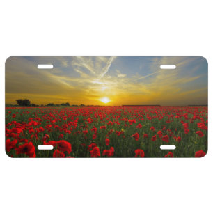 Red Poppy Sunset License Plate