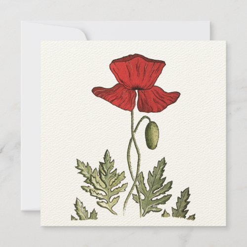 Red Poppy Thank You Card