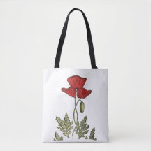 Red Poppy