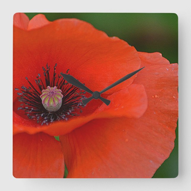 Red Poppy Wall Clock (Front)