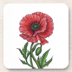 Red poppy, watercolor and ink beverage coaster