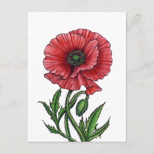 Red poppy watercolor and ink postcard