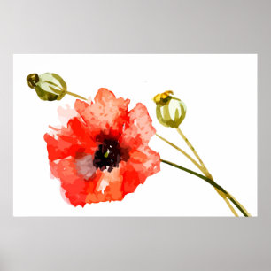 Red poppy watercolor poster