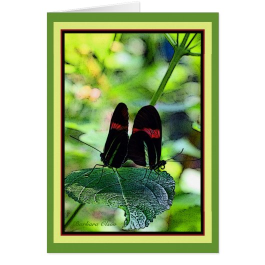 Red Postman: butterfly (Front)