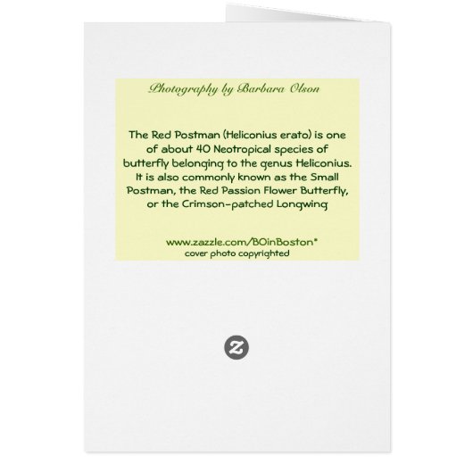 Red Postman: butterfly (Back)