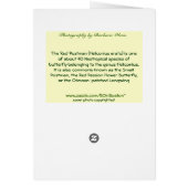 Red Postman: butterfly Cards (Back)