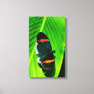 Red Postman Canvas Print