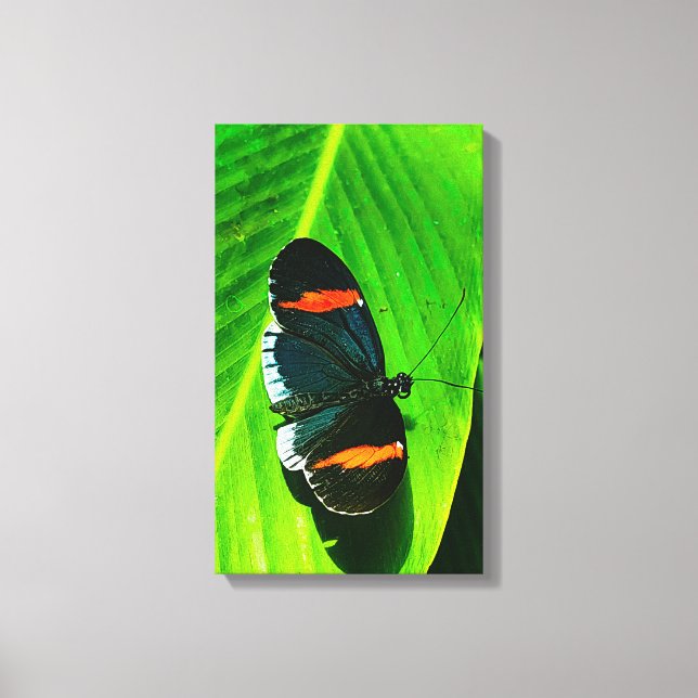 Red Postman Canvas Print (Front)