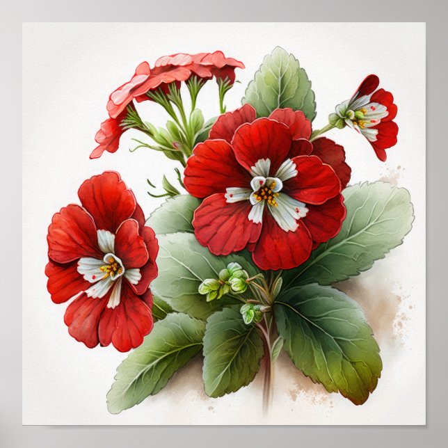 Red Primrose Flowers Art Print Poster (Front)