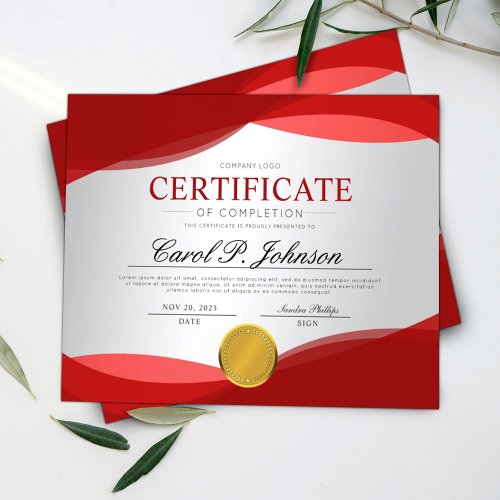 Red Professional Certificate of Completion