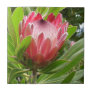 Red Protea Ceramic Tile