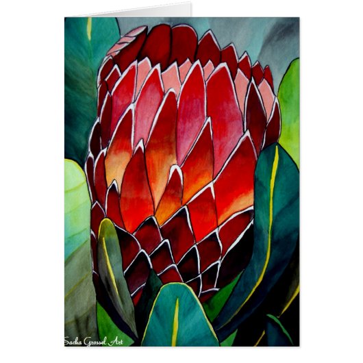 Red Protea flower original watercolour art Cards (Front)