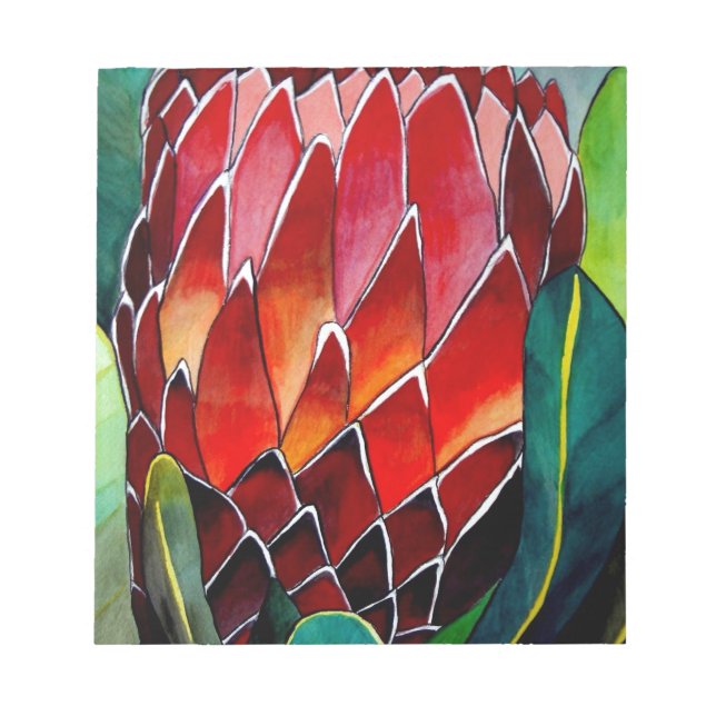 Red Protea flower original watercolour art Notepad (Front)