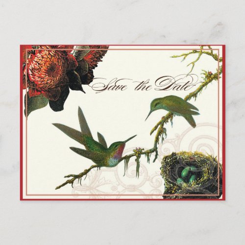 Red Protea Hummingbirds _ Save the Date Postcard