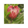 Red Protea Wood Wall Art