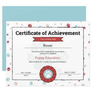 Red Puppy Program Pet Obedience School Pre Puppy