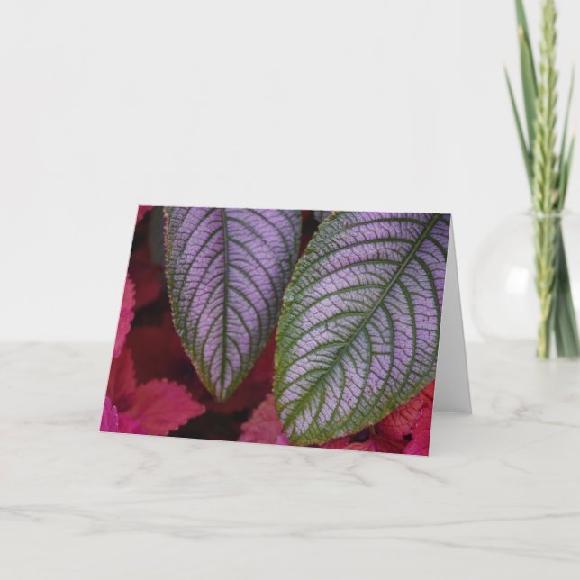 Red Purple Flower Note Card (Front)