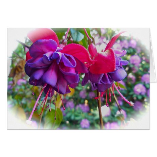 Red Purple Fushia Blossoms Cards (Front Horizontal)