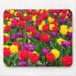 Red, purple, yellow tulip mousepad