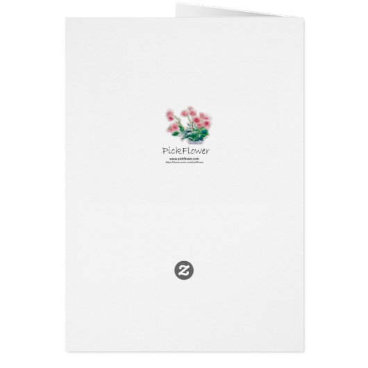 Red Quince Blossom (Back)