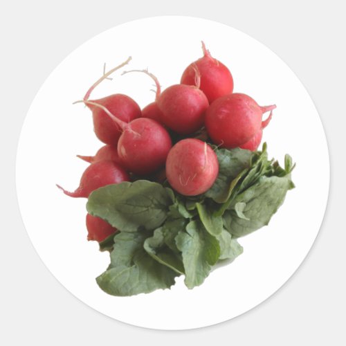 Red radish bunch with green leaves classic round sticker