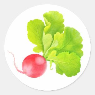 Red radish classic round sticker