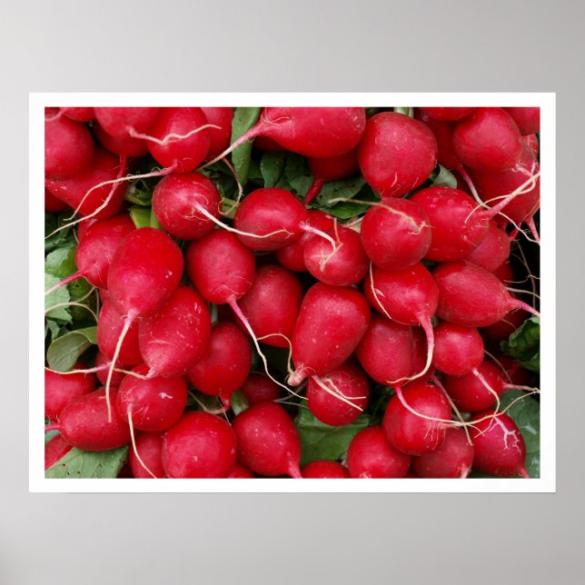 Red Radishes Poster (Front)