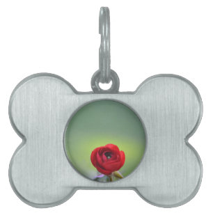 Red Ranunculus Blossom Pet ID Tag