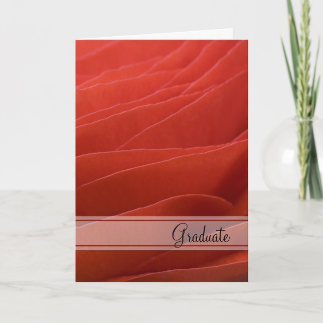 Red Ranunculus Graduation Congratulations Card (Front)