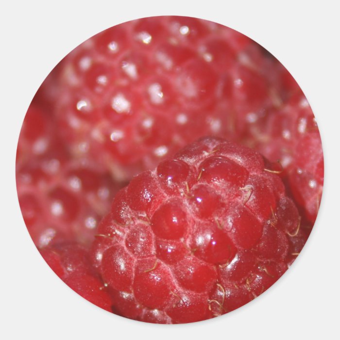 Red Raspberries close up photograph Round Stickers