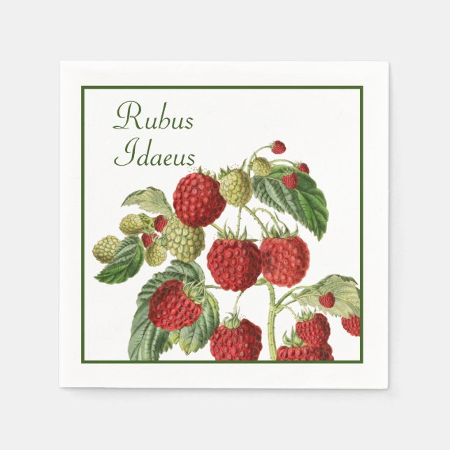 Red Raspberry Stems Napkins (Front)