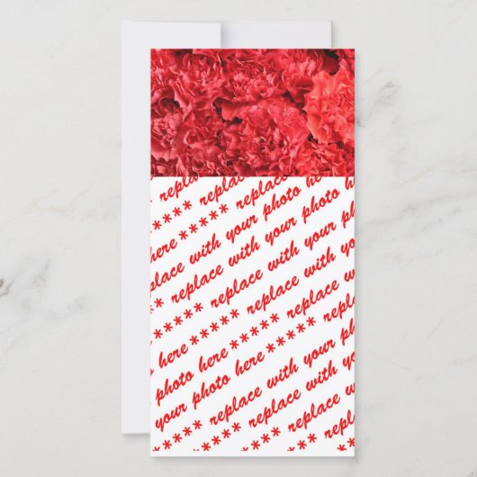 Red Red Carnations (Front)