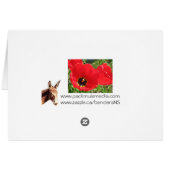 Red Red Red Tulips Cards (Back Horizontal)
