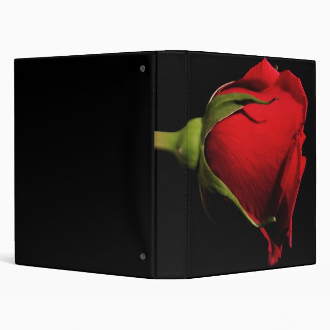 Red Red Rose Binder (Background)