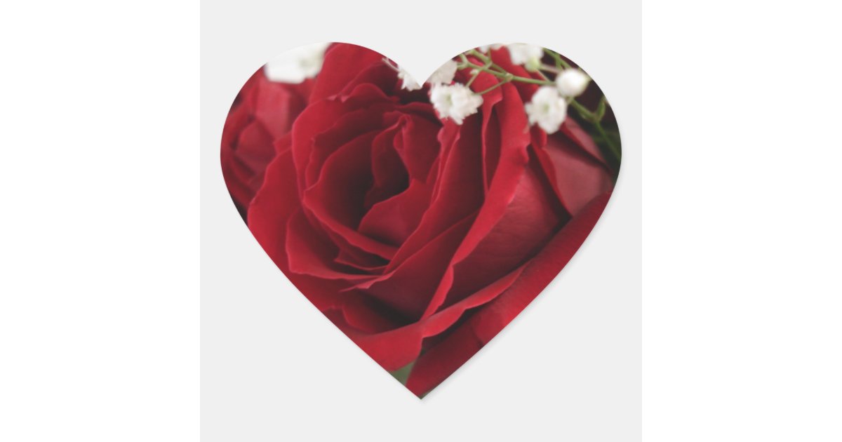 Download Red Red Rose - Heart Shaped Heart Sticker | Zazzle.com