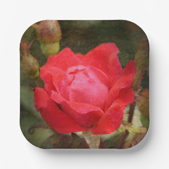 Red, Red Rose  Paper Plates (Front)