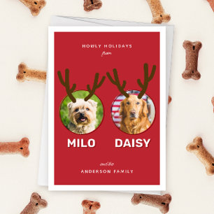 Red Reinpet 2 Photo Pet Christmas Holiday Card