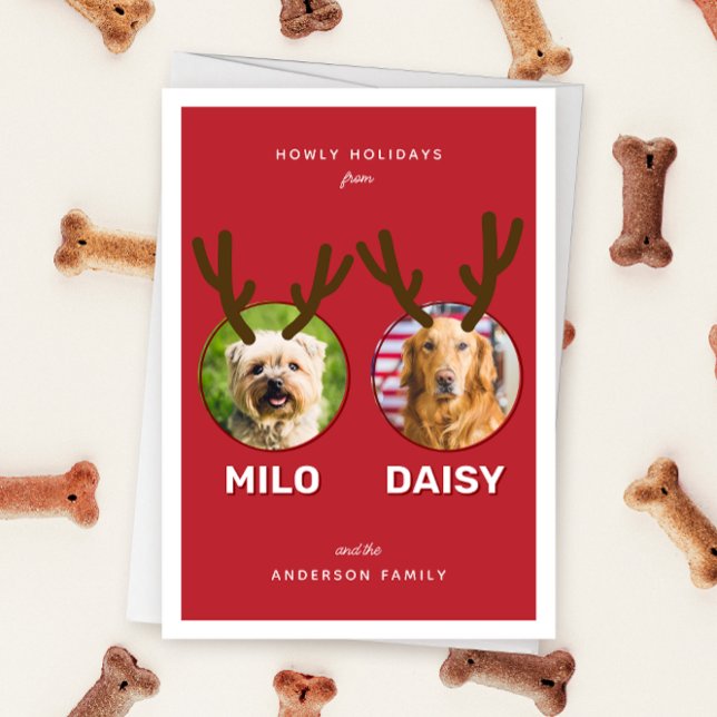 Red Reinpet 2 Photo Pet Christmas Holiday Card (Red two photo pet Christmas holiday card with message "Howly Holidays" with two sets of antlers)