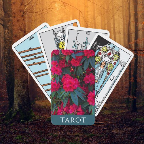 Red Rhododendron Blooms Floral Tarot