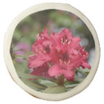 Red Rhododendron Bush in Bloom Sugar Cookie
