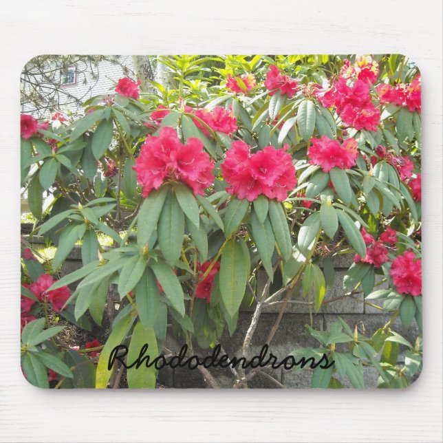 Red  Rhododendrons Mouse Pad (Front)